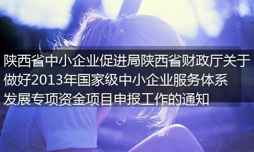 陕西省中小企业促进局陕西省财政厅关于做好2013年国家级中小企业服务体系发展专项资金项目申报工作的通知