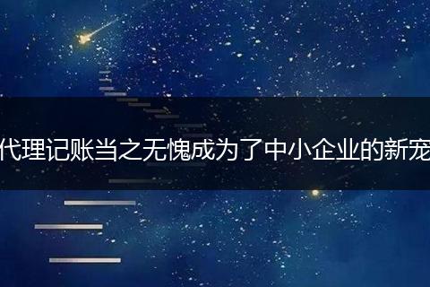 代理记账当之无愧成为了中小企业的新宠