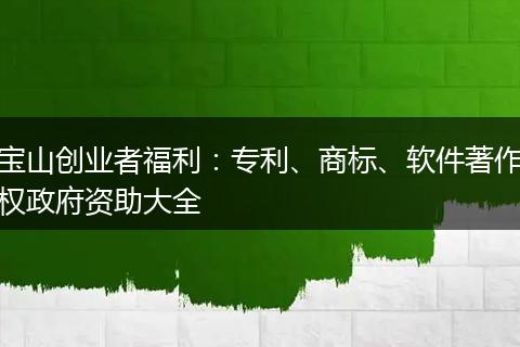 宝山创业者福利：专利、商标、软件著作权政府资助大全