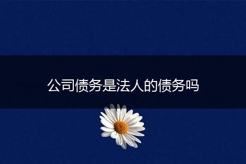 公司债务是法人的债务吗