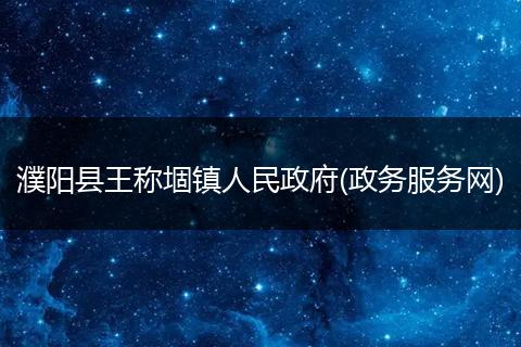 濮阳县王称堌镇人民政府(政务服务网)
