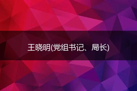 王晓明(党组书记、局长)