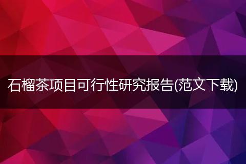 石榴茶项目可行性研究报告(范文下载)