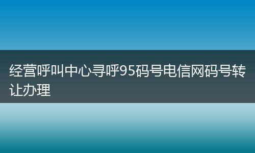 经营呼叫中心寻呼95码号电信网码号转让办理