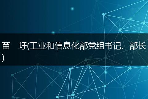 苗　圩(工业和信息化部党组书记、部长)