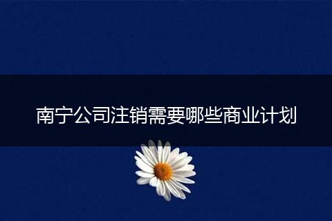 南宁公司注销需要哪些商业计划