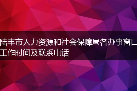 陆丰市人力资源和社会保障局各办事窗口工作时间及联系电话