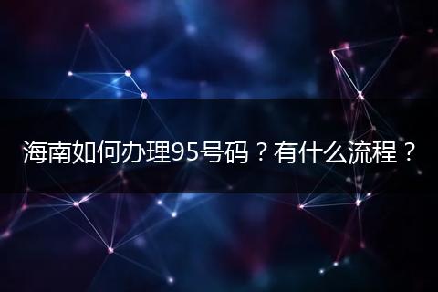 海南如何办理95号码？有什么流程？
