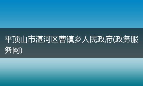 平顶山市湛河区曹镇乡人民政府(政务服务网)