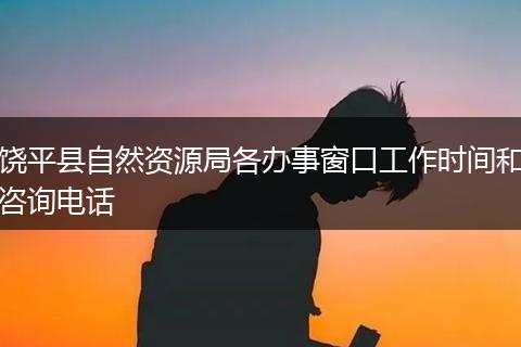 饶平县自然资源局各办事窗口工作时间和咨询电话