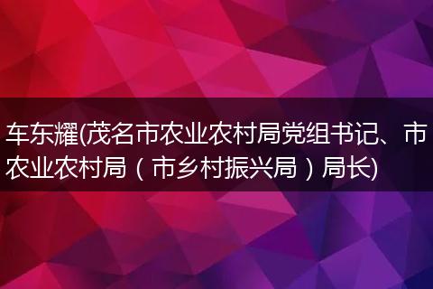 车东耀(茂名市农业农村局党组书记、市农业农村局（市乡村振兴局）局长)