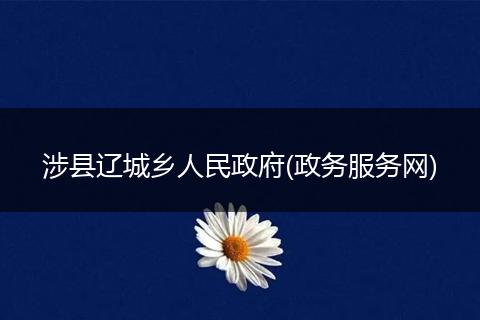 涉县辽城乡人民政府(政务服务网)