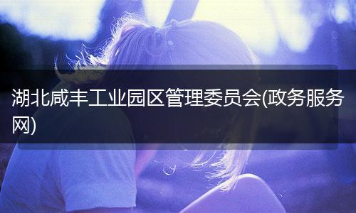 湖北咸丰工业园区管理委员会(政务服务网)