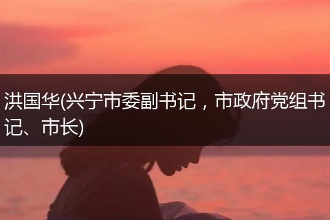 洪国华(兴宁市委副书记,市政府党组书记、市长)