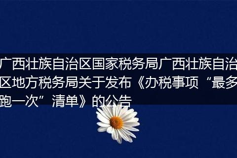 广西壮族自治区国家税务局广西壮族自治区地方税务局关于发布《办税事项“最多跑一次”清单》的公告