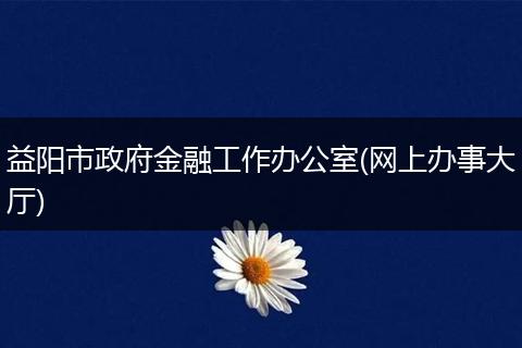 益阳市政府金融工作办公室(网上办事大厅)