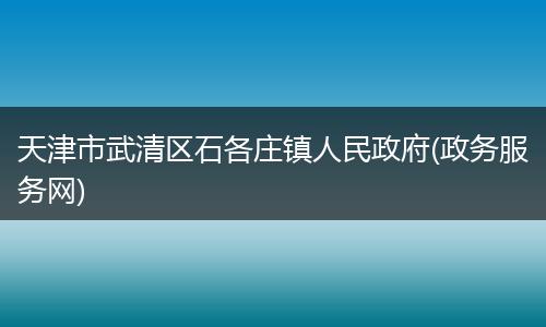 天津市武清区石各庄镇人民政府(政务服务网)