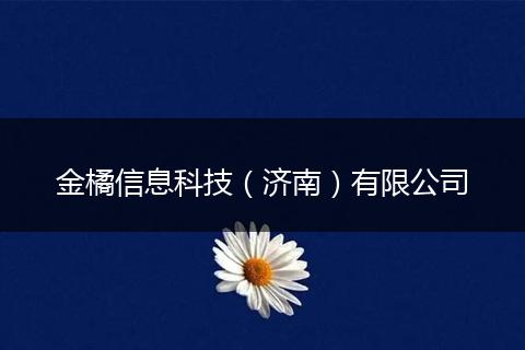 金橘信息科技（济南）有限公司