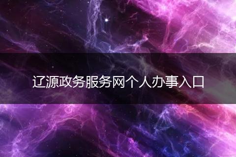 辽源政务服务网个人办事入口