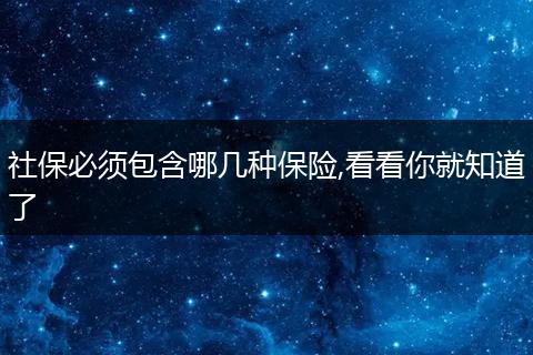 社保必须包含哪几种保险,看看你就知道了