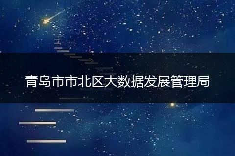 青岛市市北区大数据发展管理局