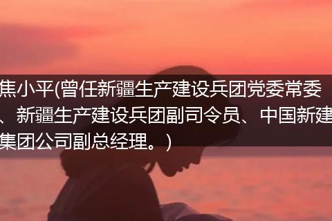 焦小平(曾任新疆生产建设兵团党委常委、新疆生产建设兵团副司令员、中国新建集团公司副总经理。)