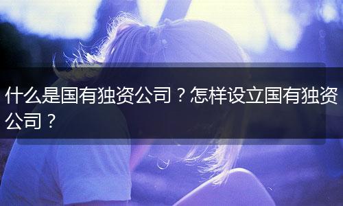 什么是国有独资公司?怎样设立国有独资公司?
