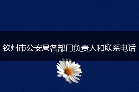 钦州市公安局各部门负责人和联系电话