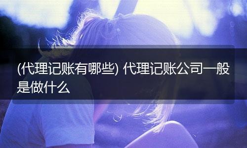 (代理记账有哪些) 代理记账公司一般是做什么