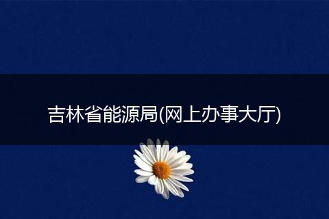 吉林省能源局(网上办事大厅)