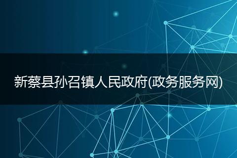 新蔡县孙召镇人民政府(政务服务网)