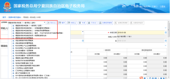 宁夏电子税务局增值税一般纳税人申报操作流程及新政策和案例说明