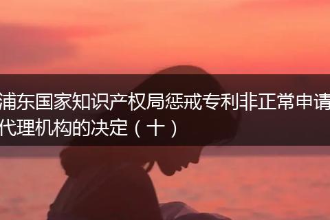 浦东国家知识产权局惩戒专利非正常申请代理机构的决定(十)