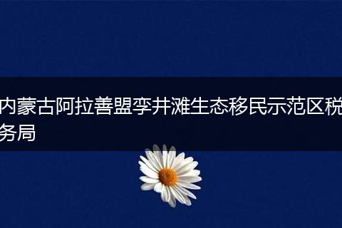 内蒙古阿拉善盟孪井滩生态移民示范区税务局