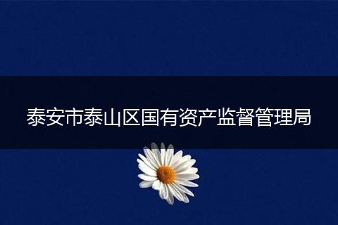 泰安市泰山区国有资产监督管理局