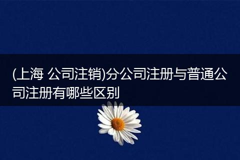 (上海 公司注销)分公司注册与普通公司注册有哪些区别