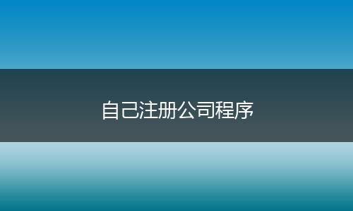 自己注册公司程序