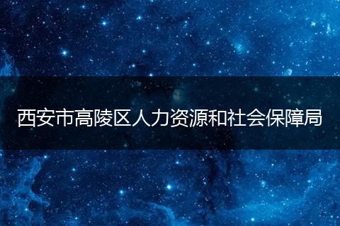 西安市高陵区人力资源和社会保障局