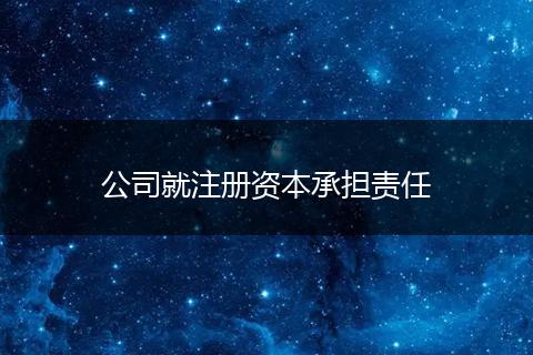 公司就注册资本承担责任