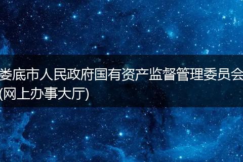 娄底市人民政府国有资产监督管理委员会(网上办事大厅)