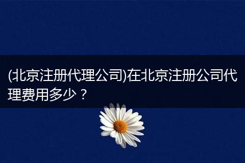 (北京注册代理公司)在北京注册公司代理费用多少?