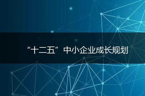 “十二五”中小企业成长规划
