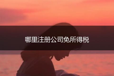 哪里注册公司免所得税