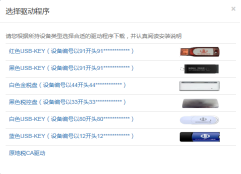湖北省税务局安装CA证书驱动程序和PDF软件操作流程说明