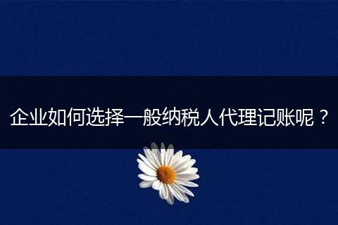 企业如何选择一般纳税人代理记账呢？