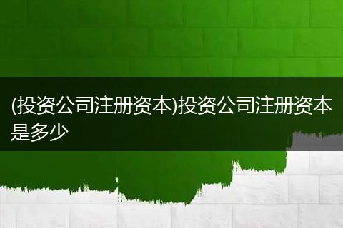 (投资公司注册资本)投资公司注册资本是多少