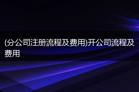 (分公司注册流程及费用)开公司流程及费用