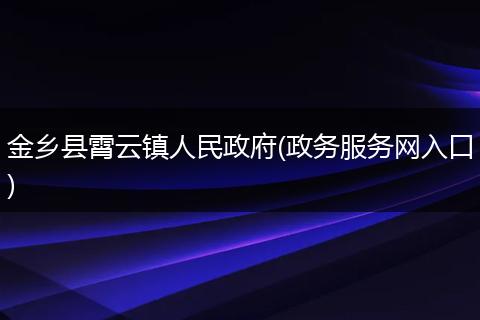 金乡县霄云镇人民政府(政务服务网入口)