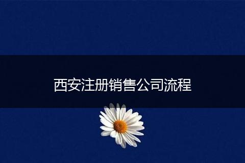 西安注册销售公司流程