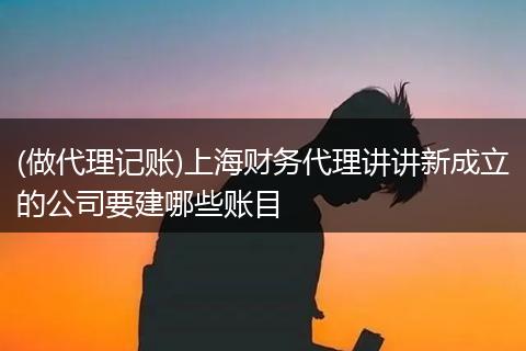 (做代理记账)上海财务代理讲讲新成立的公司要建哪些账目